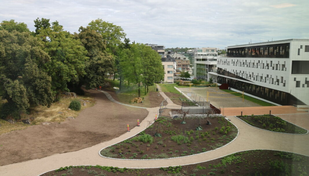 Gjensidige blir største leietaker i det nye kontorbygget VT3, som gir Fredrikstad nye grøntområder